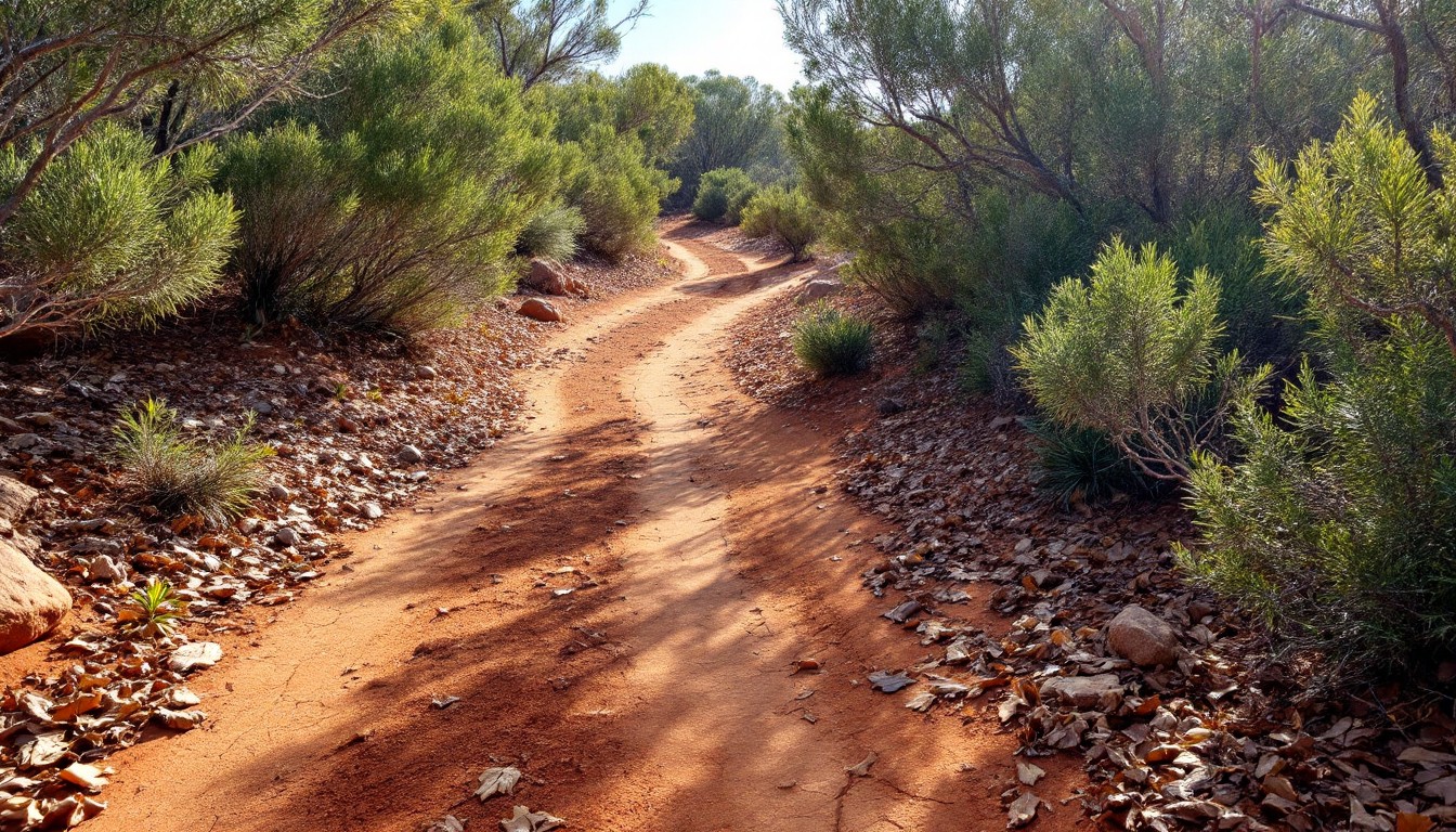 Où et quand rencontre-t-on les serpents en Australie 